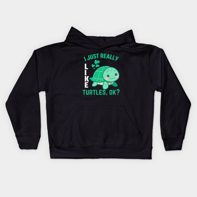 Funny Turtle Lover I Just Really Like Turtles, Ok? Kids Hoodie by BoukMa